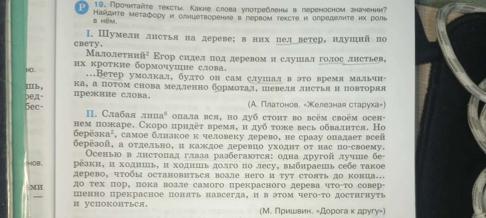 Какие слова употреблены в переносном значении в тексте? Найди метафору и олицетворение в первом тексте и определи их роль в нём.