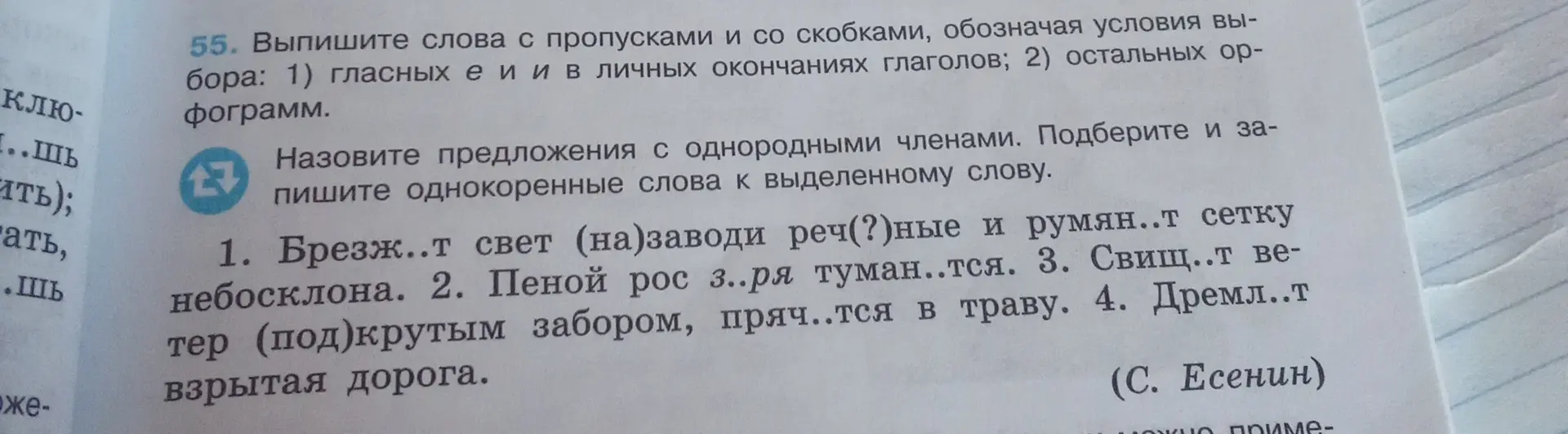 Можешь ли ты выписать слова с пропусками и со скобками, обозначая условия выбора: гласных е и и в личных окончаниях глаголов; остальных орфограмм из текста под цифрой 1?