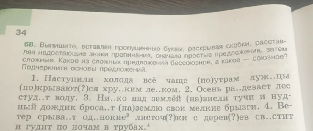 Выполни упражнение по русскому языку 6 класс, со всеми орфограммами