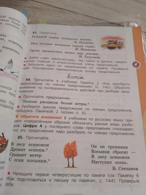 Разбери данное предложение по членам предложения: Осенью расцвели белые астры.