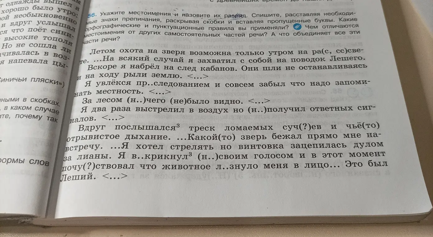 Можешь указать местоимения, назвать их разряд, расставить знаки препинания, раскрывая скобки и вставляя пропущенные буквы?