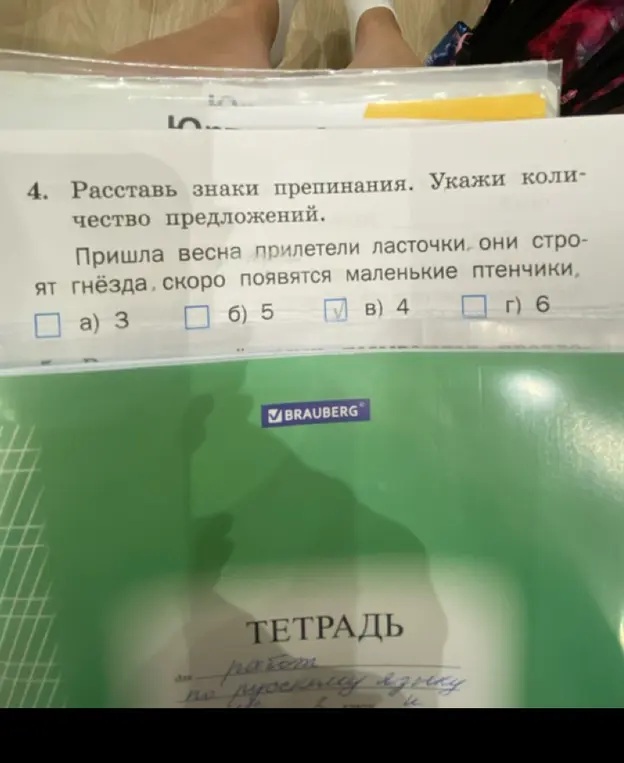 Расставь знаки препинания в предложении 'Пришла весна прилетели ласточки они строят гнёзда, скоро появятся маленькие птенчики' и укажи количество предложений
