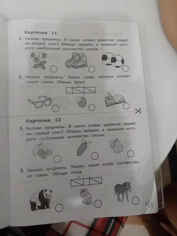 Выполни задания в карточках 11 и 12: назови предметы, определи ударение, обведи фрукт и птицу.