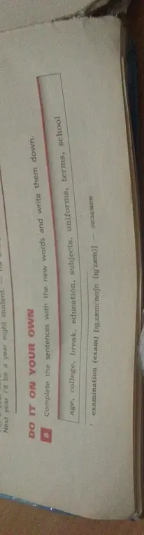 Составь предложения с новыми словами: age, college, break, education, subjects, uniforms, terms, school, examination