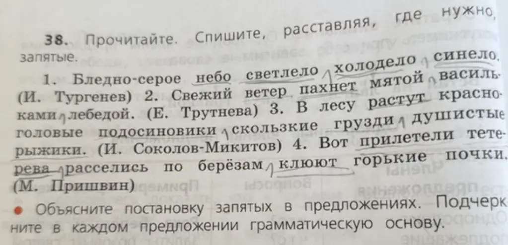 Объясни постановку запятых и подчеркни грамматическую основу в предложении "Бледно-серое небо светлело, холодело, синело"