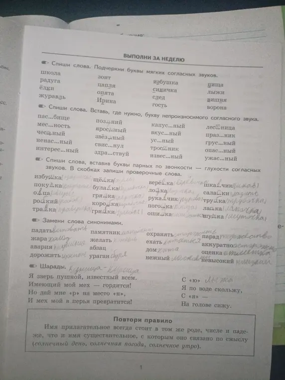 Выполни для меня задания по русскому языку: спиши слова и подчеркни буквы мягких согласных звуков, вставь букву непроизносимого согласного звука, вставь буквы парных по звонкости, замени слова синонимами и разгадай шарады.