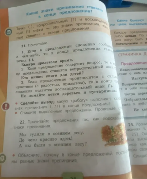 Помоги выполнить упражнения 21 и 22: прочитать, сделать вывод и списать предложения, объяснить знаки препинания.