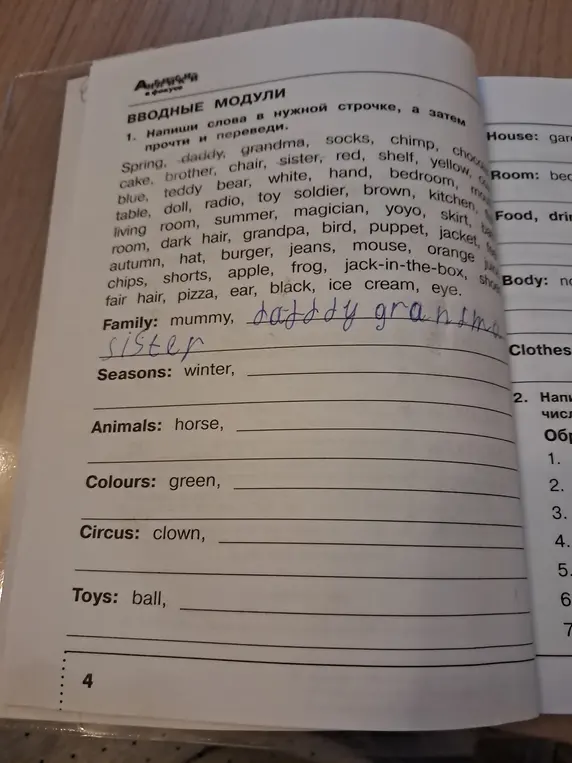 Распредели слова по темам: Seasons, Animals, Colours, Circus, Toys