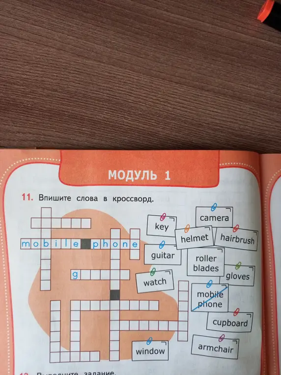 Впиши слова в кроссворд.