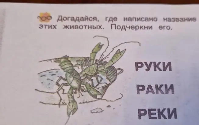 Подчеркни название животного на картинке