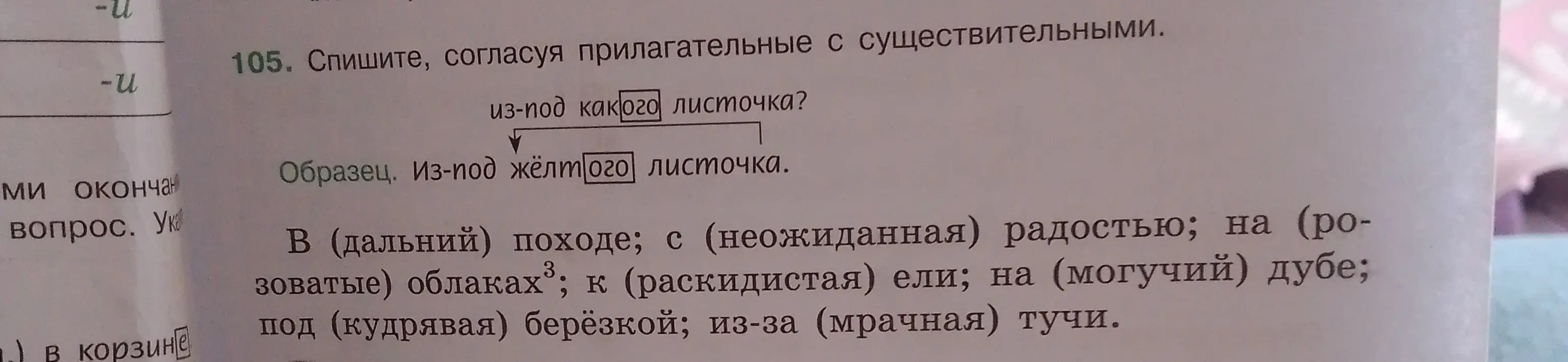 Помоги с упражнением: спиши, согласуя прилагательные с существительными