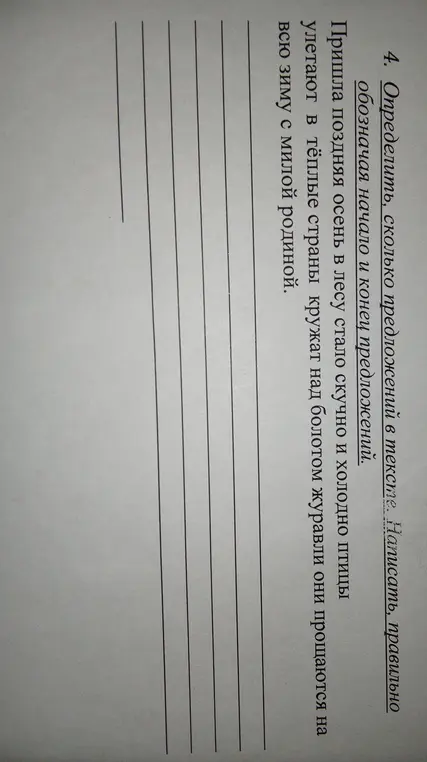 Определи, сколько предложений в тексте.