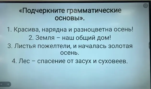 Ты просишь подчеркнуть грамматические основы в предложениях.