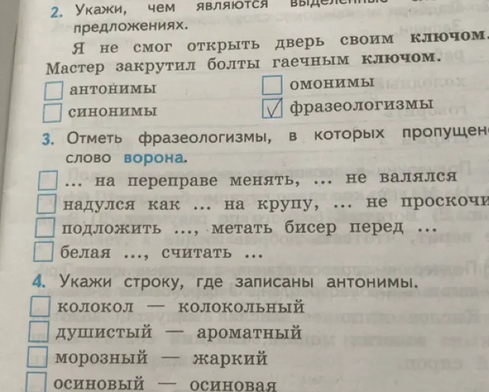 Укажи, чем являются выделенные слова в предложениях: "Я не смог открыть дверь своим ключом. Мастер закрутил болты гаечным ключом"