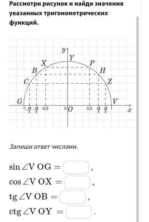 Помоги мне найти значения тригонометрических функций: sin ∠V OG, cos ∠V OX, tg ∠V OB, ctg ∠V OY по рисунку.