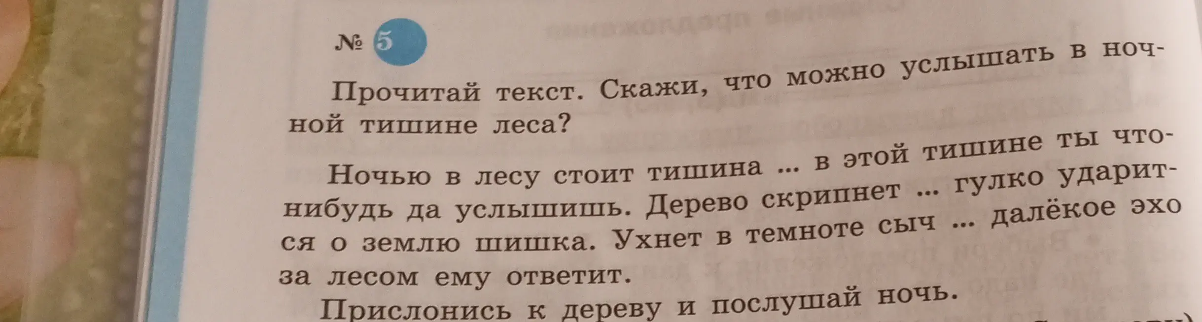 Что можно услышать в ночной тишине леса?