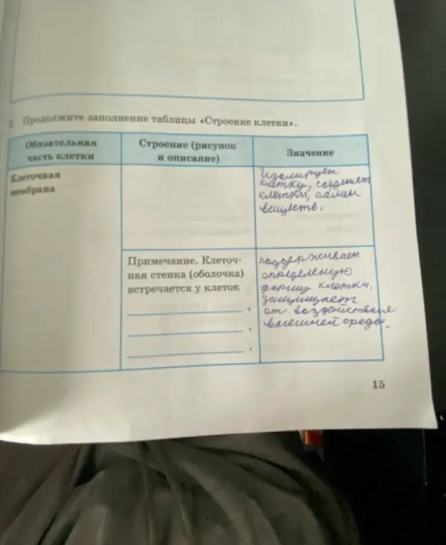 Продолжи заполнение таблицы «Строение клетки» для клеточной мембраны и клеточной стенки.