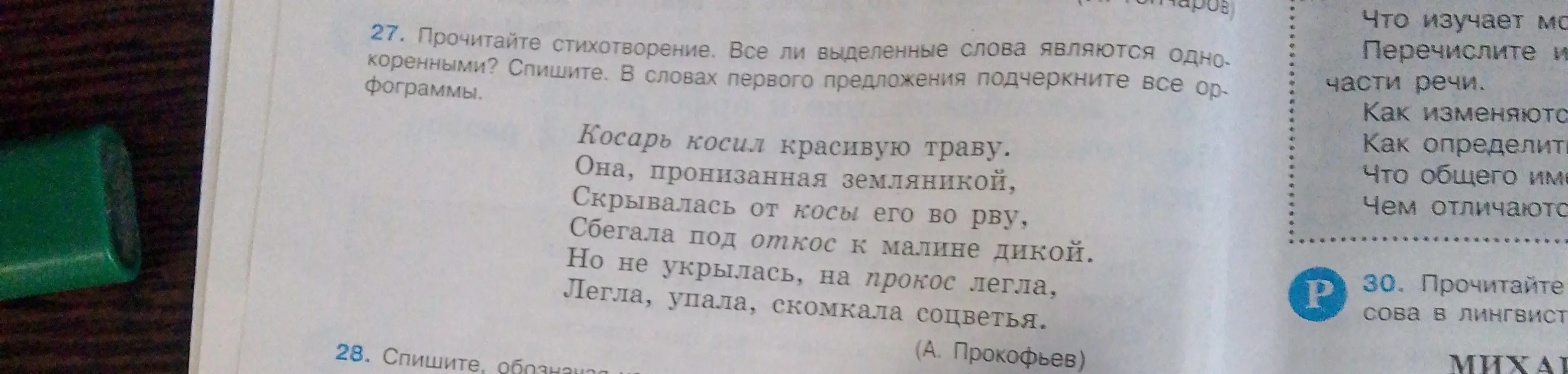 Прочитай стихотворение. Все ли выделенные слова являются однокоренными? В словах первого предложения подчеркни все орфограммы.
