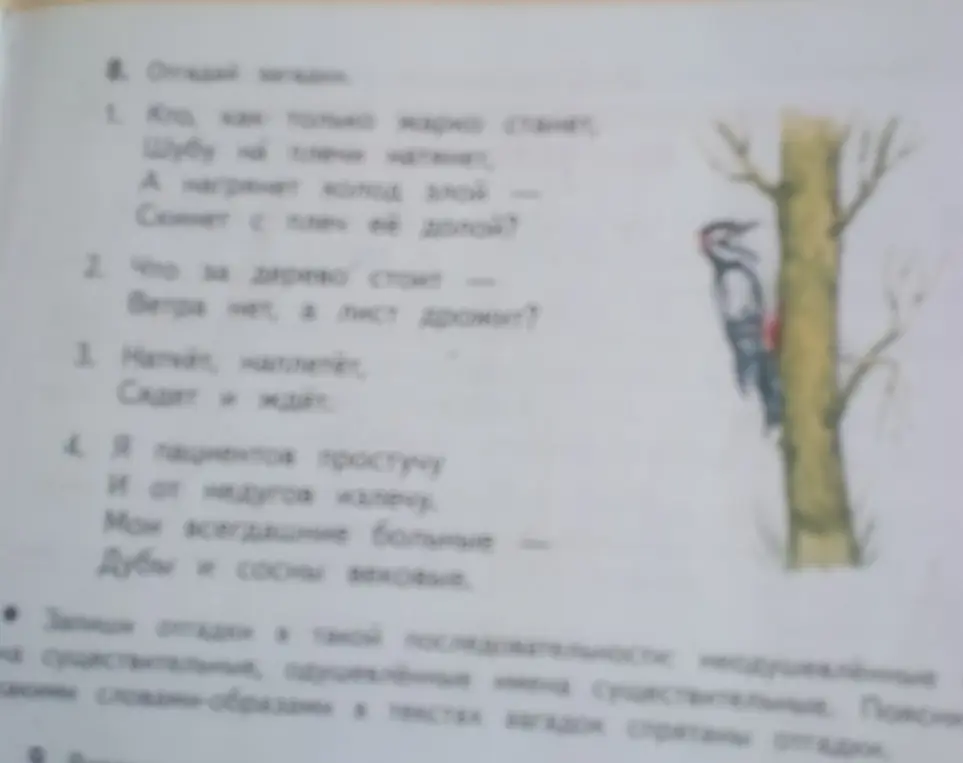 Ты просишь отгадать загадки и записать отгадки в определенной последовательности: сначала неодушевленные имена существительные, затем одушевленные. Также необходимо указать, какими словами-образами в текстах загадок спрятаны отгадки.