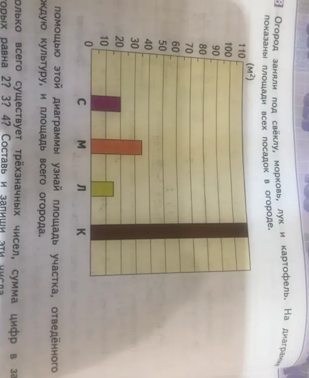 Помоги мне узнать площадь участка, отведенного под каждую культуру, и площадь всего огорода