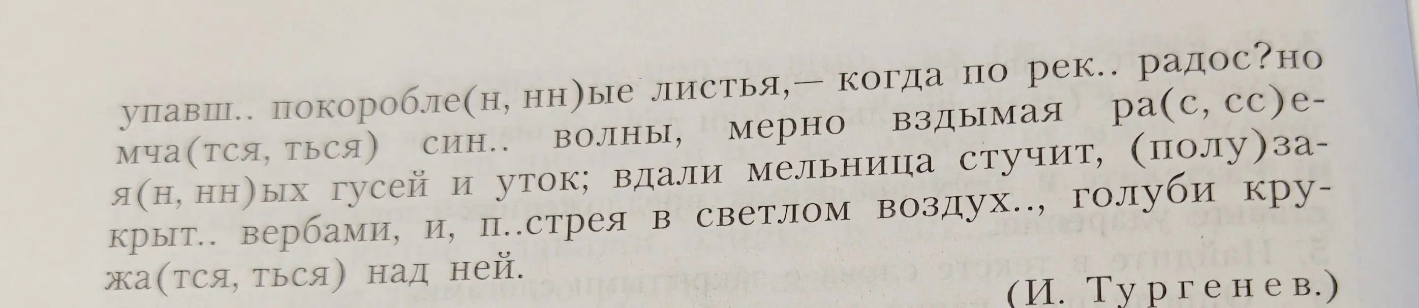 Ты просишь меня объяснить, какие буквы нужно вставить в пропущенные места в словах из текста.