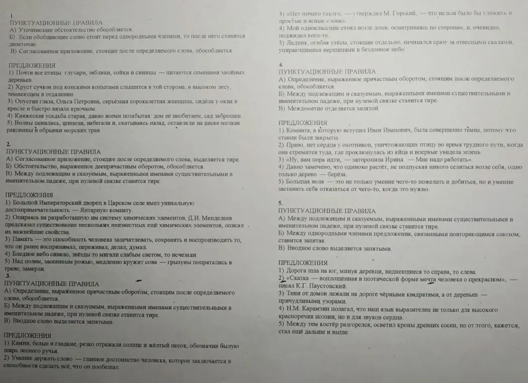 Объясни, какие пунктуационные правила применяются в предложениях из текста про пунктуационные правила.