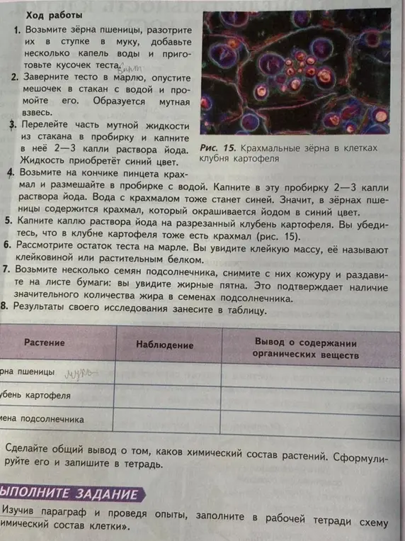 Заполни, пожалуйста, таблицу по результатам исследования: пшеница, картофель, семена подсолнечника