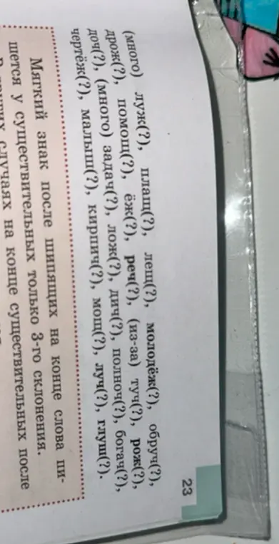 Определи, нужен ли мягкий знак в словах: луж, плащ, лещ, молодёж, обруч, дрож, помощ, ёж, реч, туч, рож, доч, задач, лож, дич, полноч, богач, чертёж, малыш, кирпич, мощ, луч, глуш