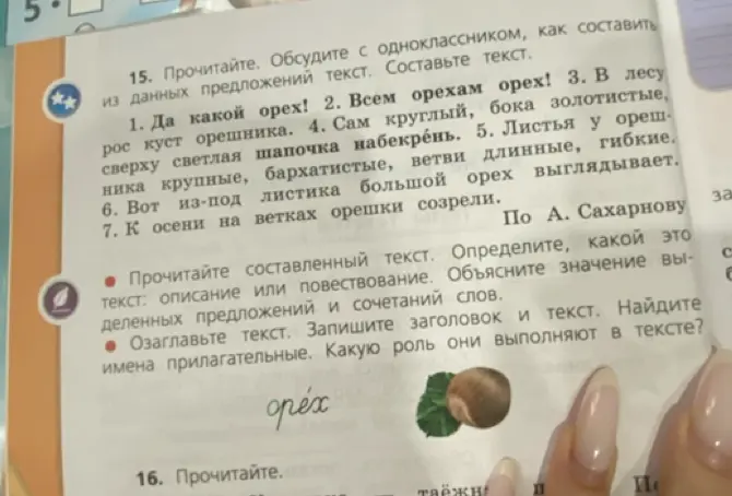 Составь текст из данных предложений. Определи тип текста, озаглавь его. Найди имена прилагательные и определи их роль.