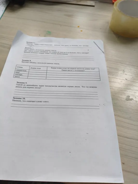 Ты просишь ответить на вопросы по тексту о птицах.
