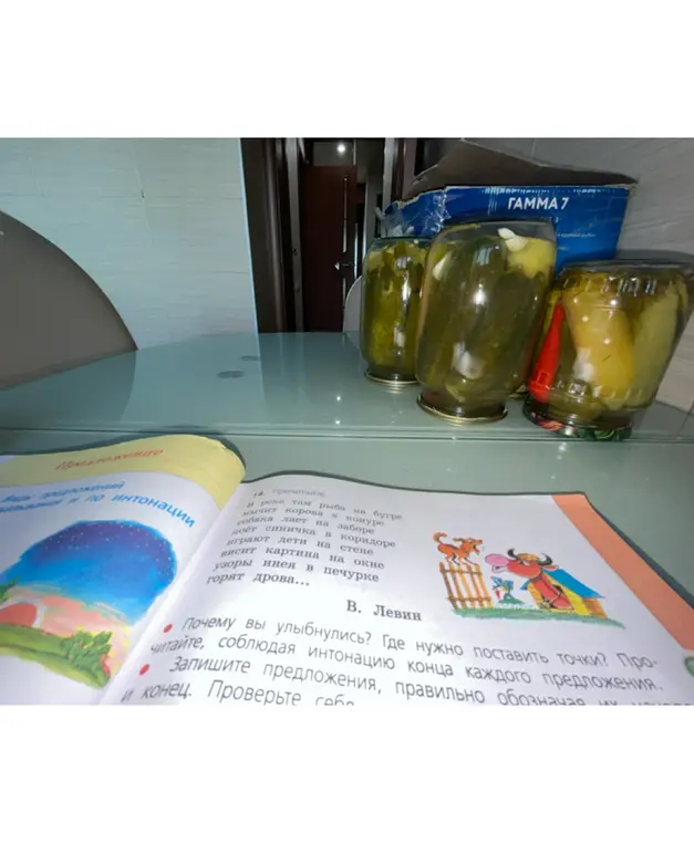 Где нужно поставить точки в тексте В. Левина?