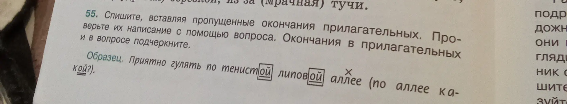 Спиши, вставляя пропущенные окончания прилагательных