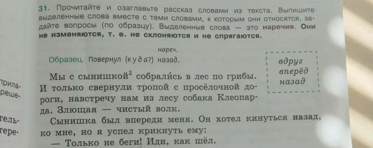 Ты просишь прочитать и озаглавить рассказ словами из текста, выписать выделенные слова вместе с теми словами, к которым они относятся, и задать вопросы (по образцу).