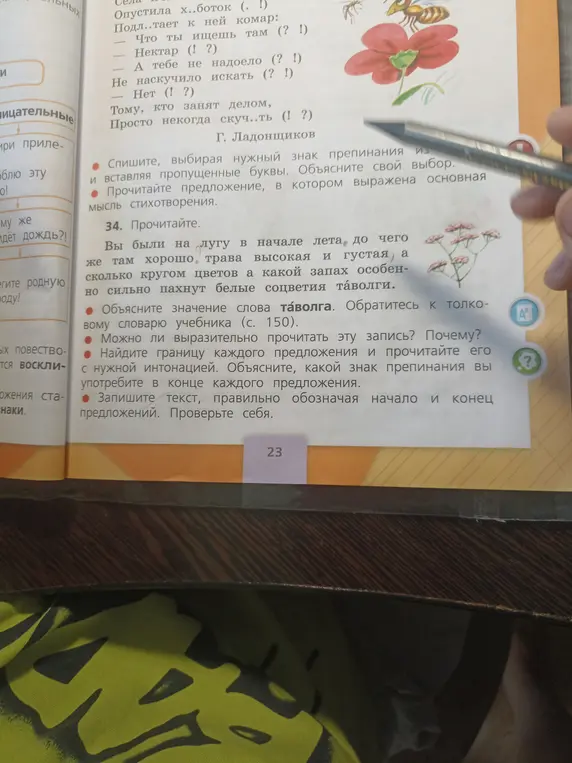 Объясни значение слова таволга и какой знак препинания употребить в конце каждого предложения в упражнении 34