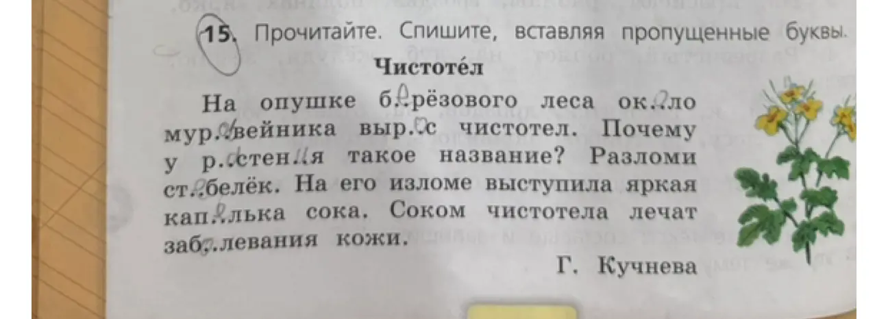 Прочитай текст и вставь пропущенные буквы