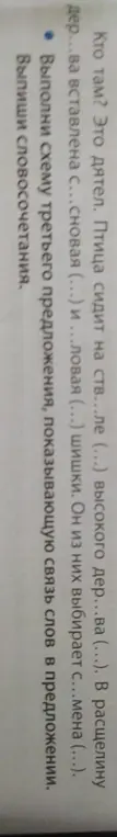 Выполни схему третьего предложения, показывающую связь слов в предложении 'Кто там? Это дятел. Птица сидит на ств...ле (...) высокого дер...ва (...).'