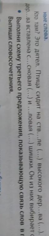 Выполни схему третьего предложения, показывающую связь слов в предложении 'Дерево вставлена с... сновая (...) и ...ловая (...) шишки. Он из них выбирает семена'