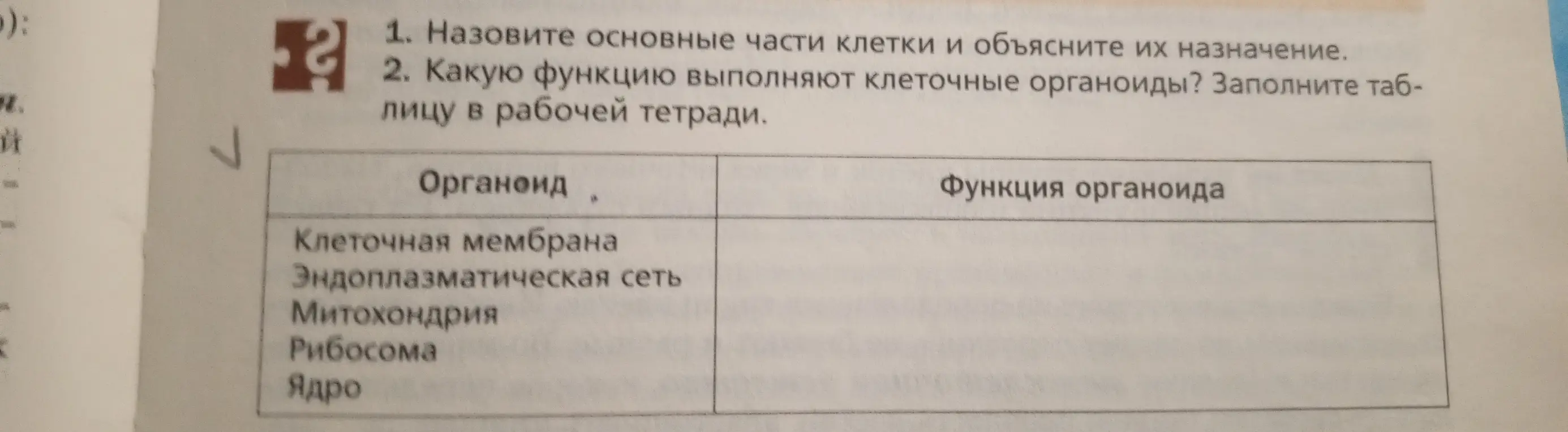 Объясни функции клеточных органоидов