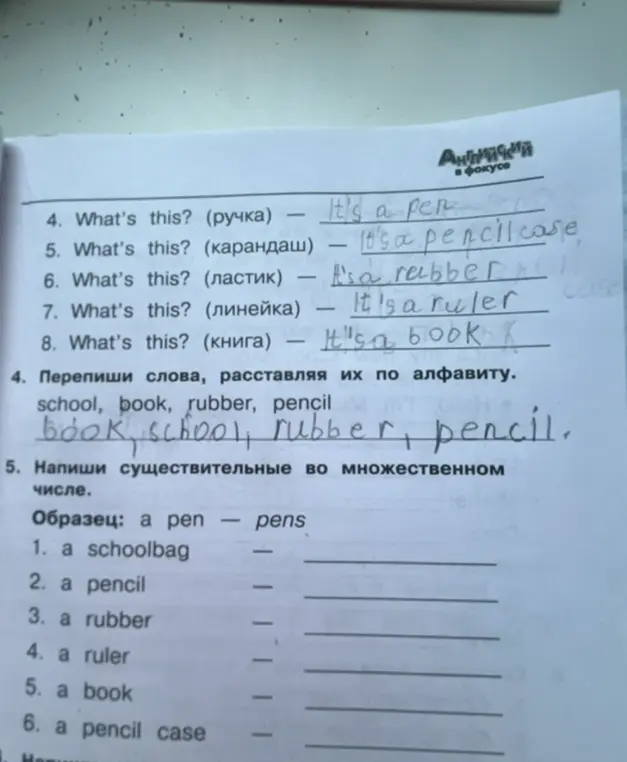 Помоги мне переписать слова, расставляя их по алфавиту и написать существительные во множественном числе