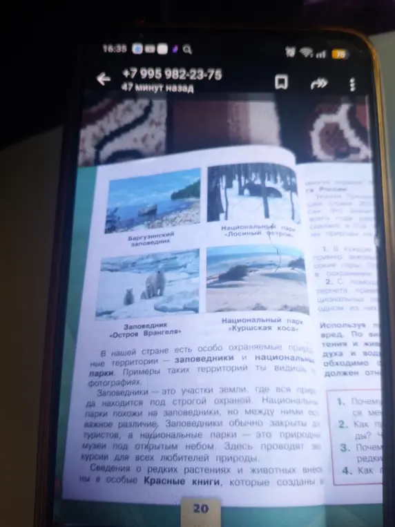Объясни, что такое заповедники и национальные парки и почему важно сохранять редкие виды?