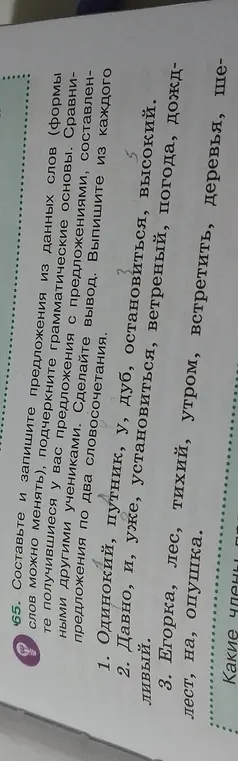 Составь и запиши предложения из данных слов (формы слов можно менять), подчеркни грамматические основы в предложении 'Одинокий, путник, у, дуб, остановиться, высокий'.