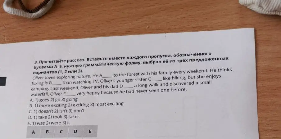 Вставь вместо каждого пропуска, обозначенного буквами А-Е, нужную грамматическую форму, выбрав её из трёх предложенных вариантов