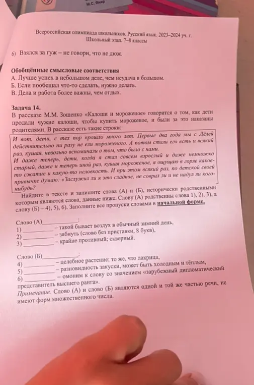 Выполни задания Всероссийской олимпиады школьников по русскому языку для 7-8 классов