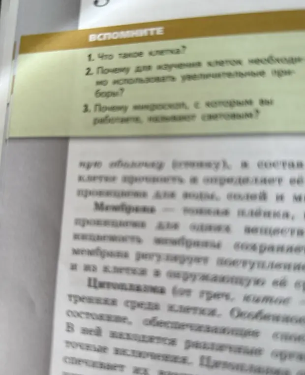 Ты можешь ответить на вопросы: Что такое клетка? Почему для изучения клеток необходимо использовать увеличительные приборы?