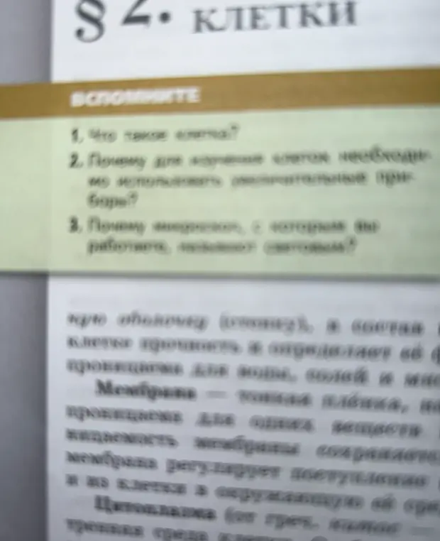 Что такое клетка?