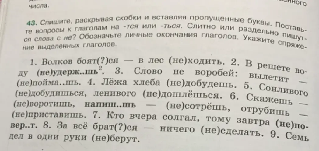 Выполни упражнение: спиши, раскрывая скобки и вставляя пропущенные буквы в предложении 'Волков боят(?)ся – в лес (не)ходить'