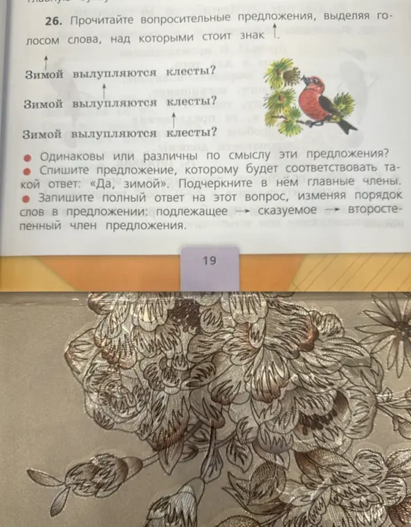 Выполни упражнение: определи смысл предложений, спиши предложение и подчеркни главные члены, запиши полный ответ, изменяя порядок слов.