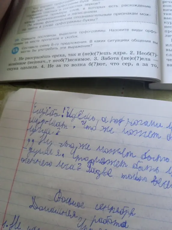 Определи буквы, которые нужно вставить на месте пропусков и скобок в пословицах: 1. Не разгрызёшь ореха, так и (не)с(?)ешь ядра.