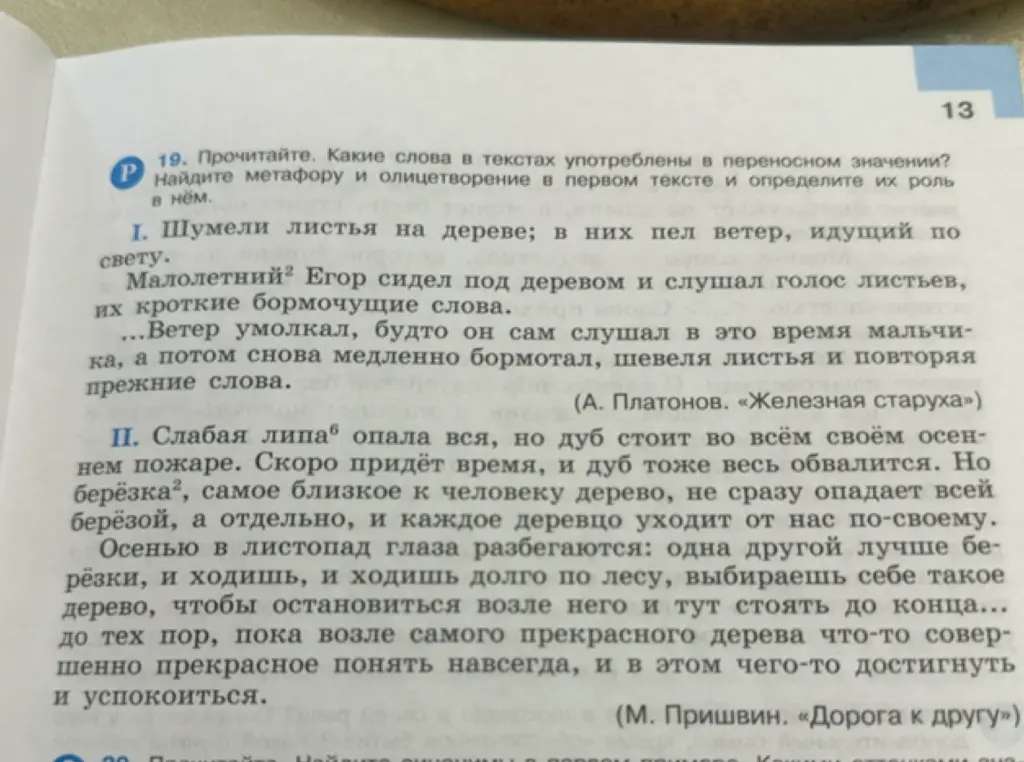 Какие слова в текстах употреблены в переносном значении? Найди метафору и олицетворение в первом тексте и определи их роль в нём.
