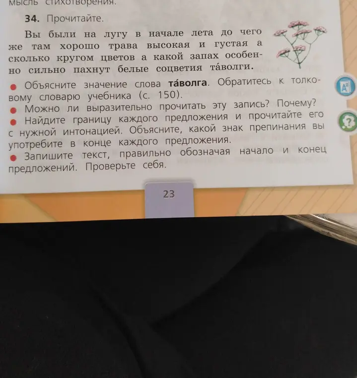 Объясни значение слова таволга из текста упражнения.